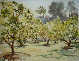 Mamounia, gaje pomarańczowe, 2000 (akwarela)