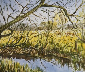 Water Meadows, Kintbury, wczesne majowe popołudnie autorstwa Clive Wilson