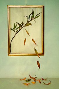  autorstwa Codruta Georgescu