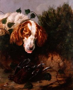 Just Shot - Spaniel z martwym cietrzewem autorstwa Colin Graeme