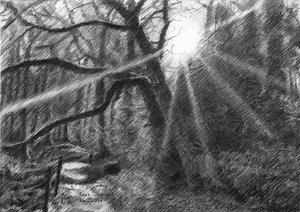  autorstwa Corné Akkers