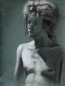 Portret z dziką fryzurą autorstwa Corné Akkers