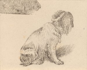 Siedzący pies, 1777. autorstwa Cornelis Brouwer