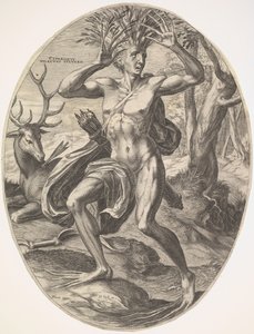 Cyprys z zestawu Wiejscy bogowie, 1565. autorstwa Cornelis Cort