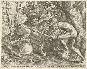 Herkules dusi lwa nemejskiego Prace Herkulesa (tytuł serii) autorstwa Cornelis Cort