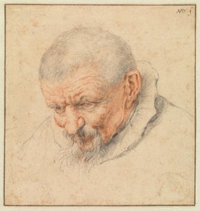 Głowa starego mężczyzny autorstwa Cornelis Dusart