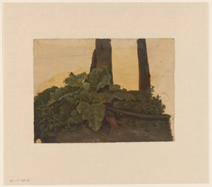 Rośliny u podnóża pnia drzewa autorstwa Cornelis Johannes de Vogel