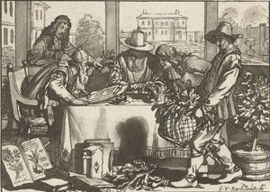 botanik autorstwa Cornelis Ploos van Amstel (signed by artist)