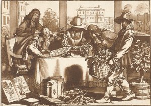 botanik autorstwa Cornelis Ploos van Amstel (signed by artist)