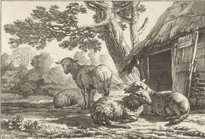 owczarnia