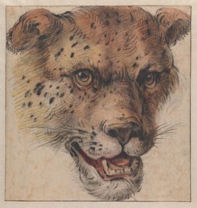  autorstwa Cornelis Saftleven