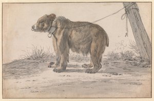  autorstwa Cornelis Saftleven