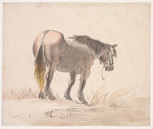 Koń stojący na kopcu autorstwa Cornelis Saftleven