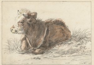 Leżąca łydka, po lewej stronie autorstwa Cornelis Saftleven