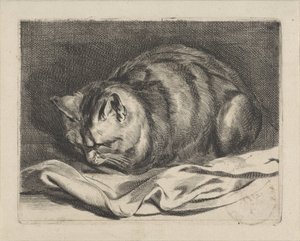 mały kotek autorstwa Cornelis Visscher (II)