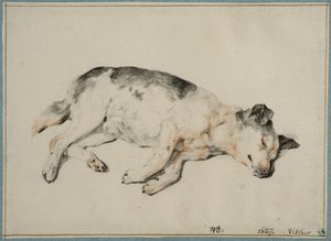  autorstwa Cornelis Visscher