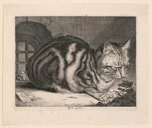 Duży kot autorstwa Cornelis Visscher