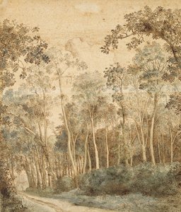 Zalesiony krajobraz (długopis i brązowy atrament i toaleta na papierze) autorstwa Hendrick Cornelisz. Vroom