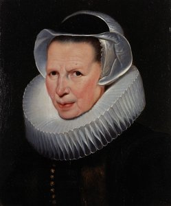  autorstwa Cornelis de Vos