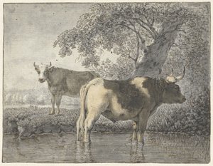 Dwie krowy pod drzewem nad wodą autorstwa Cornelis van Noorde