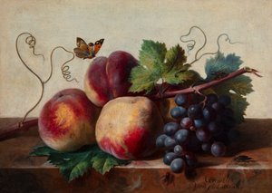 Martwa natura brzoskwiń i winogron na marmurowym stole z motylem i innymi owadami
