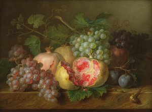 Martwa natura z granatów, winogron i śliwek na marmurowej półce (panel)