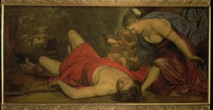 Wenus opłakująca śmierć Adonisa (olej na płótnie) autorstwa Cornelius Holsteyn