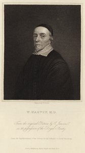 William Harvey autorstwa Cornelius Janssen van Ceulen