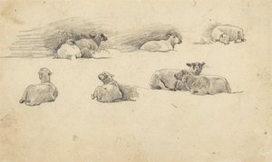 Studium owiec autorstwa Cornelius Varley