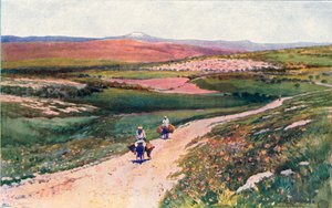Kana od drogi do Nazaretu