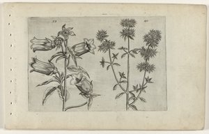 Zegar Mariette i majeranek Cognoscite lilia (tytuł serii) autorstwa Crispijn van de Passe (I) (attributed to)