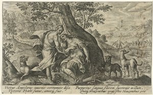 Apollo i Hiacynt Metamorfosen van Ovidius (tytuł serii)