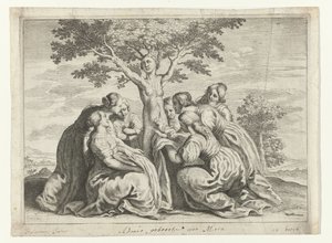 Narodziny Adonisa Metamorfozy Owidiusza (tytuł serii) autorstwa Crispijn van de Passe (II) (workshop of)