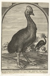 Kazuar, przywieziony przez Willema Jacobsza. z Indii Wschodnich i przekazany księciu Mauritsowi, 1614 autorstwa Crispijn van den Queborn (attributed to)
