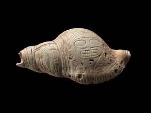 Rzeźbiona muszla muszli autorstwa Culture Taino