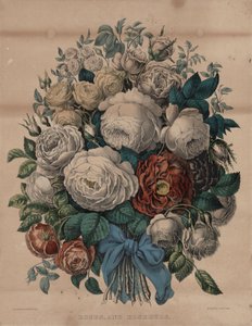 Róże i pąki róż autorstwa Currier and Ives