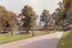 Patrząc w stronę Westminster, Marlborough House Garden (kolor lito)