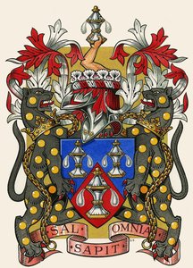 The Guilds of London: The Worshipful Company of Salters autorstwa Dan Escott