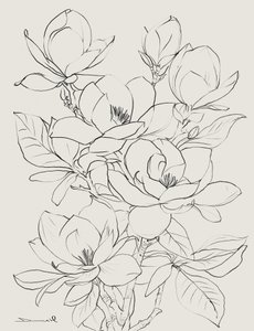 Drzewo magnolii autorstwa Dan Hobday