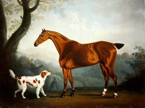 Bay hunter i spaniel w zalesionym krajobrazie