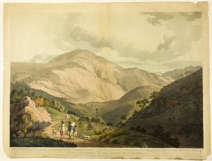 Sandy Bay Valley, St. Helena autorstwa Daniel Havell