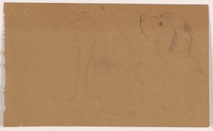 Rysunek, Dash (seter), głowa i ciało, ok. 1862 r. autorstwa Daniel Huntington