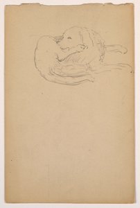 Rysunek, Dash (seter), ok. 1862 r. autorstwa Daniel Huntington
