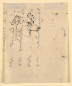 Rysunek, głowa psa, prawdopodobnie Milo (pointer), ok. 1862 r. autorstwa Daniel Huntington