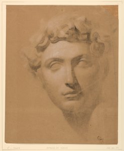 Rysunek głowy mężczyzny z gipsu, 1840 r. autorstwa Daniel Huntington