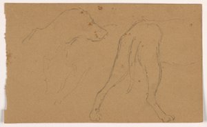 Rysunek, Milo (pointer), głowa i ciało, ok. 1862 r. autorstwa Daniel Huntington