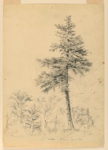 Badanie Hemlock, Gorham, New Hampshire autorstwa Daniel Huntington
