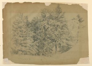 Studium Drzew, North Conway, New Hampshire autorstwa Daniel Huntington