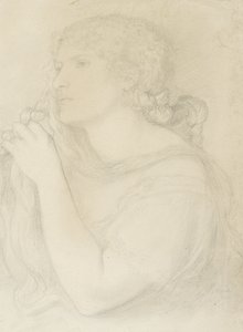 Studium Fanny Cornforth, 1863 autorstwa Dante Gabriel Charles Rossetti