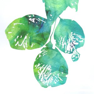  autorstwa Danushka Abeygoda